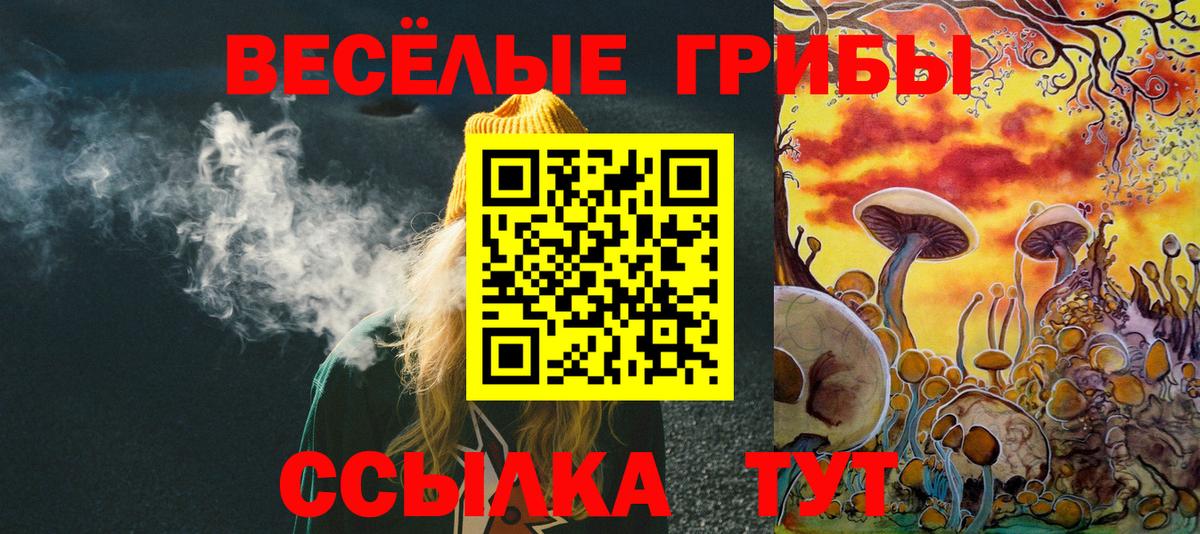 Грозный  Псилоцибиновые грибы мицелий  Вход с VPN 